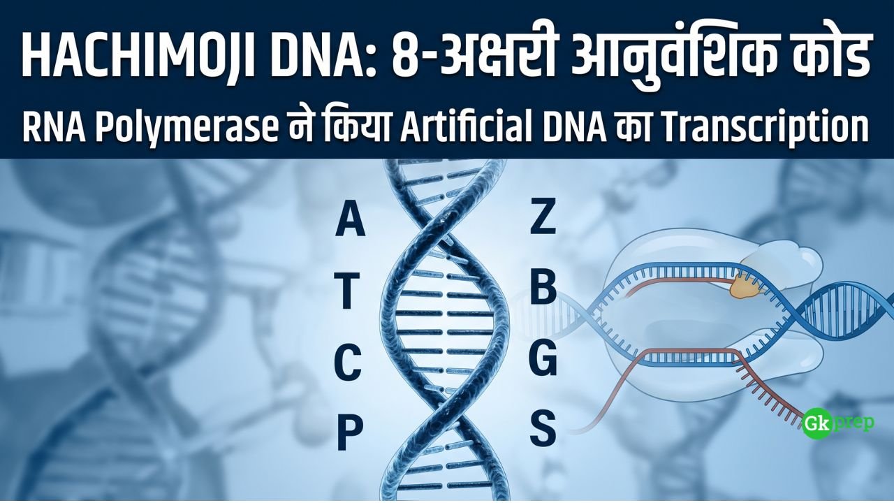 Hachimoji DNA